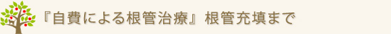 『自費による根管治療』根管充填まで
