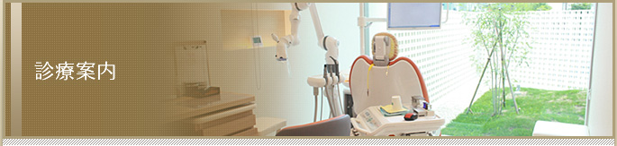 診療案内