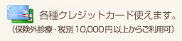 各種クレジットカード使えます。